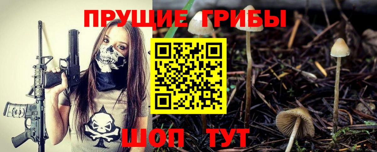 Галлюциногенные грибы MAGIC MUSHROOMS Аргун