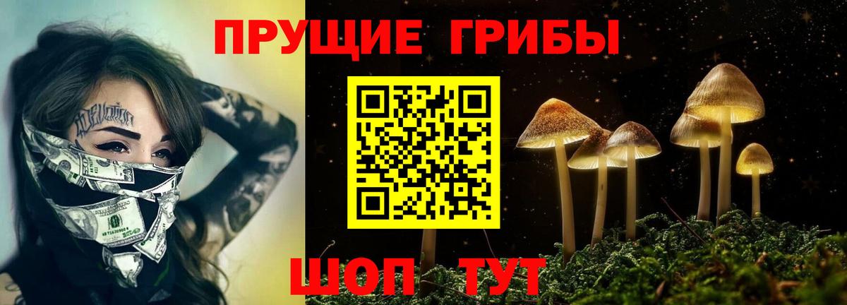 Галлюциногенные грибы мицелий  Вход с VPN  Аргун 